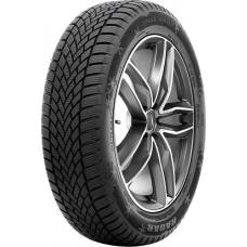 Ціна на Radar Dimax Winter 205/60 R16 96V XL